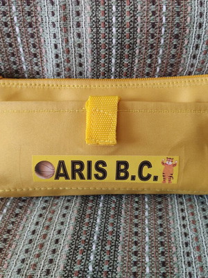 Aris B.C. yellow pencil case with logo
