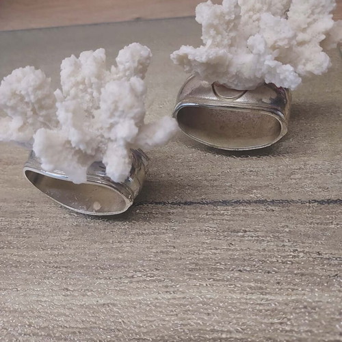 Hans Turnwald napkin rings with white coral, like new