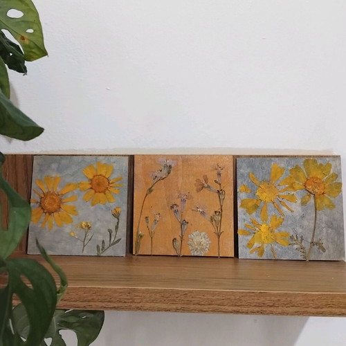 Set of 3 handmade frames with dried flowers new