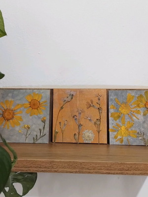 Set of 3 handmade frames with dried flowers new
