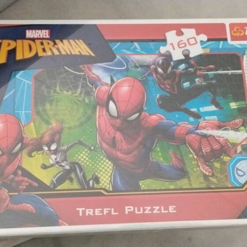 Set of 3 puzzles, 100 and 160 pieces