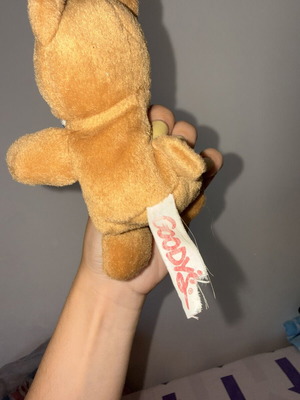 Goodys teddy bear in good condition