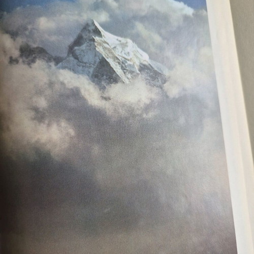The Himalayas-The worlds wild places book used, English