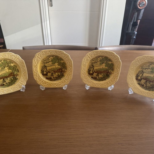 Majolica English plate used