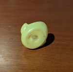 Plastic little duckling