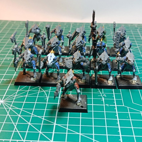 Seraphon Lizardmen Army like new with huge bits box for Warhammer