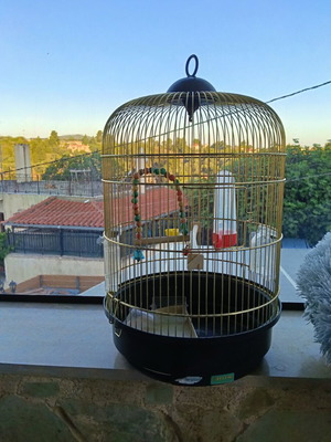 Birdcage like new
