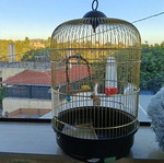 Birdcage like new