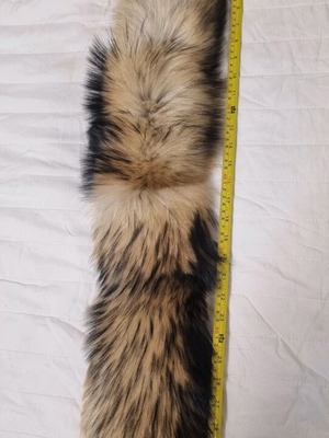 Raccoon leather strip like new, beige
