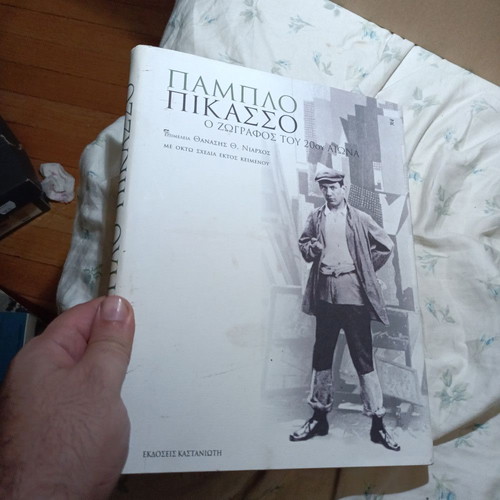 Pablo Picasso: The Painter of the 20th Century book
