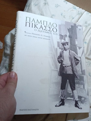 Pablo Picasso: The Painter of the 20th Century book