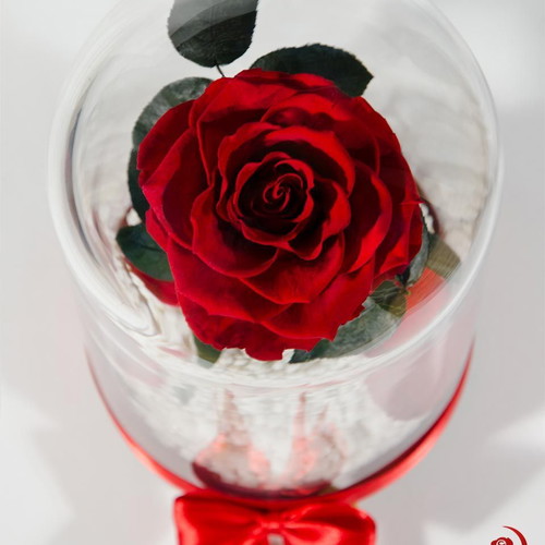 Red Eternal Rose in Large Glass Dome made to order
