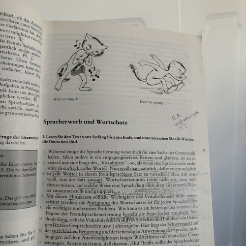 Deutsch für Studenten Text- und Übungsbuch used