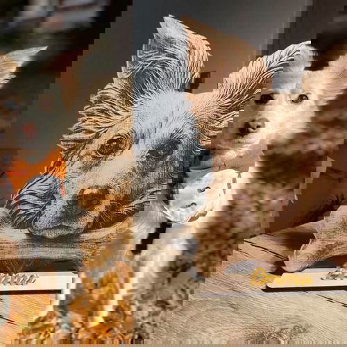 Επιτραπέζιο ξύλινο πορτρέτο κατοικιδίου καινούργιο με 3D ανάγλυφο