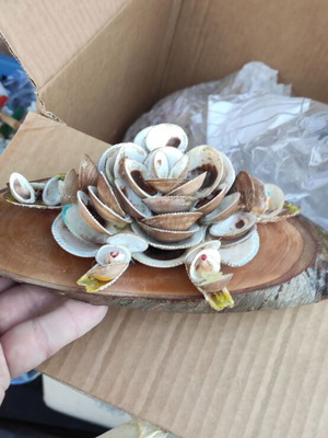 Table base with shells handmade new