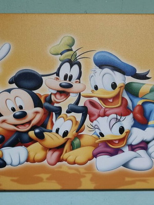 Canvas wall art for kids room with Disney figures like new 40x65
