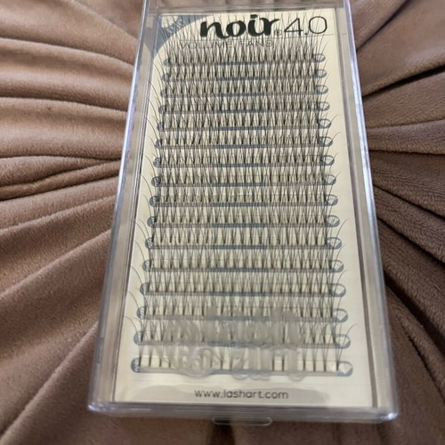 Lashart Noir eyelashes like new