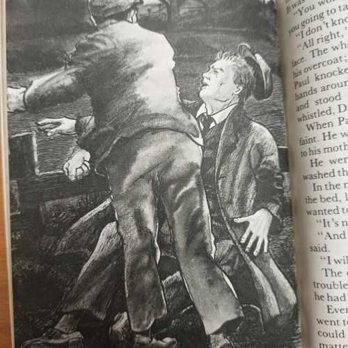Book Sons and Lovers like new, English, Collins English Library