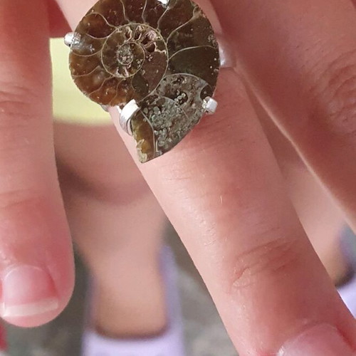 Ring fossilised ammonite silver plated size USA 5-5.5 new