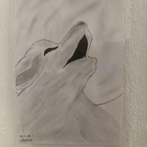 Pencil sketch new, custom made hand drawn