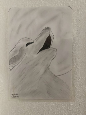Pencil sketch new, custom made hand drawn