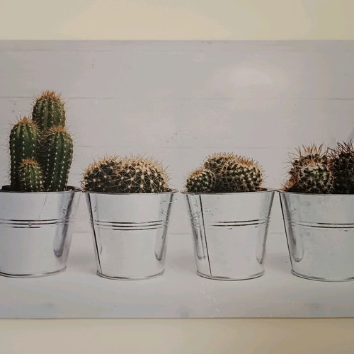 Printed cactus art print used, 59.5 x 40 cm