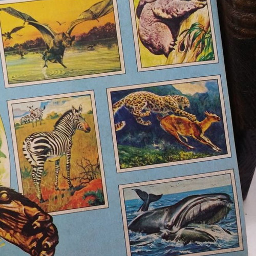 Mammals collectible album used Panini 1979 with stickers