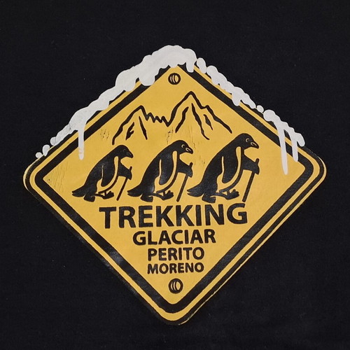 Perito Moreno Glacier Patagonia T-shirt used, sizes L and XL