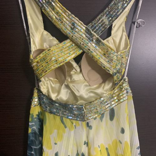 Maxi dress DAVE&JOHNNY new with open back and chest support