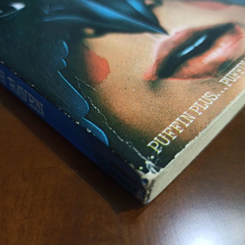 The Seventh Raven book by Peter Dickinson, Puffin Plus series