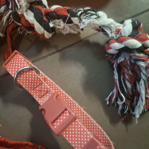 Pet toys and leashes like new, 2 leashes, ball and 2 toys