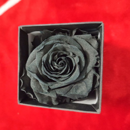 Black Forever Rose used, small box in luxury packaging