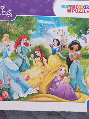 Princess puzzle 60 pieces used