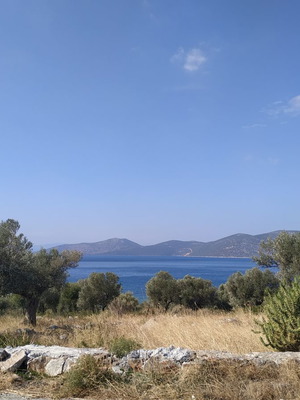 Land 4.5 stremmata buildable in Deliso, Evia with sea view