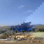 Δ. Στυραίων ΔΗΛΗΣΟ, ΝΕΑ ΣΤΥΡΑ, ΕΥΒΟΙΑ, ΠΩΛΗΣΗ οικοπέδου 4,5στρεμ