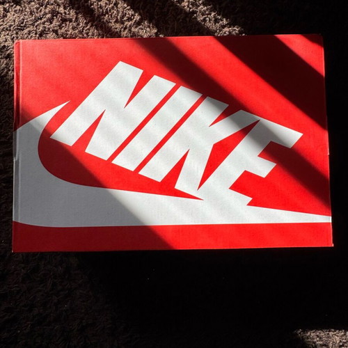 Nike Dunk Low Retro men's shoes size 45 white light smoke grey