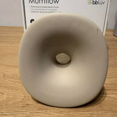 Portable heated breast pump