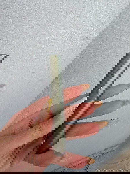 συσκευή iqos