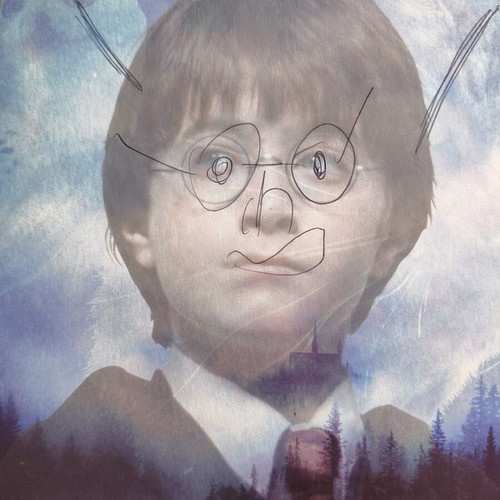 Harry Potter and the Philosopher's Stone Panini Sticker Album used, complete