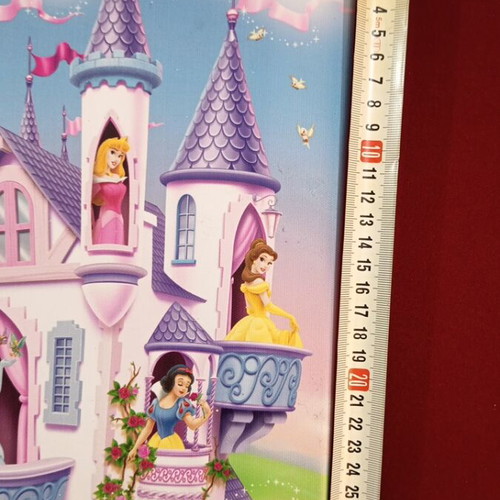 Disney canvas princesses like new 22x30