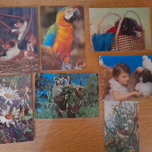 Vintage postcards from the 70s with animals and flowers, used, pack of 7