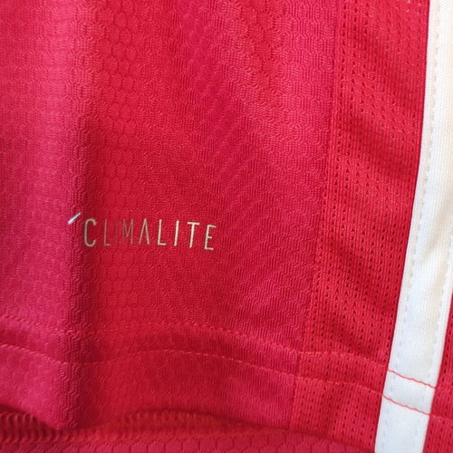 Benfica Lisbon Home Jersey 2018/2019 Adidas size S like new