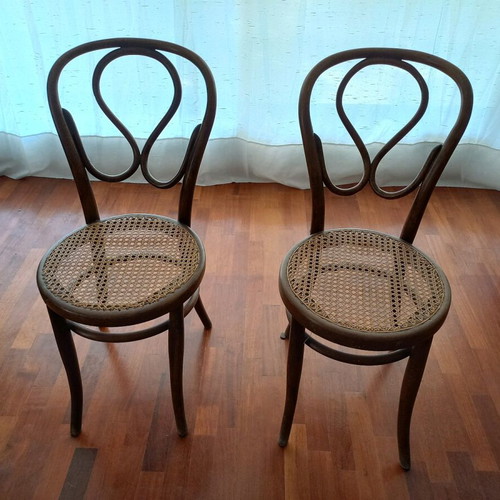 Decorative chairs with net used
