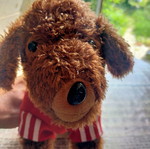 Adidog plush dog toy