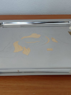 M.S.B. Creazioni Linea Elite Stainless Steel Tray with 24K Gold Decoration
