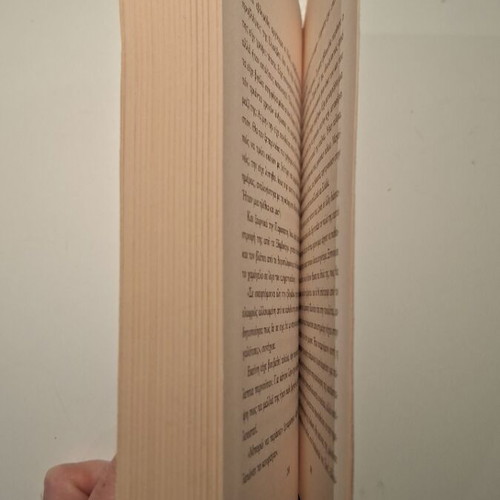 The Blind Spot by Lida Dizelou like new