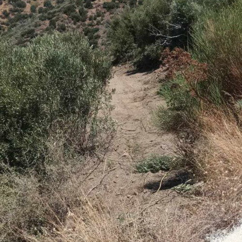 Buildable agricultural land 2,030 sqm in Mesochori Voion Laconia with view