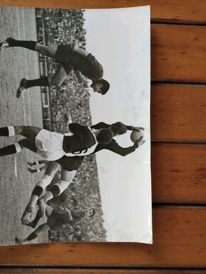 Osfp photo used, Osfp - Vojvodina 3-0, large authentic
