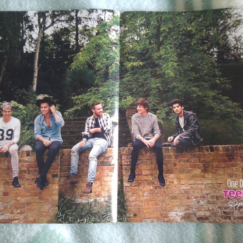 One Direction & Elyar Fox poster like new