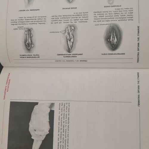 Bates Guide to Clinical Examination like new, hardcover